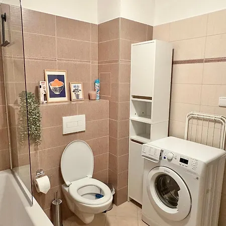 Cista V Krkonosich Černý Dŭl